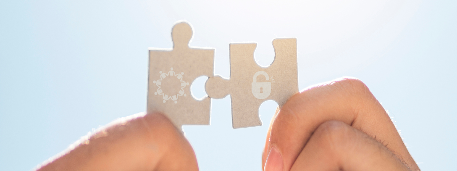 Preprints: Community over commercialization in action